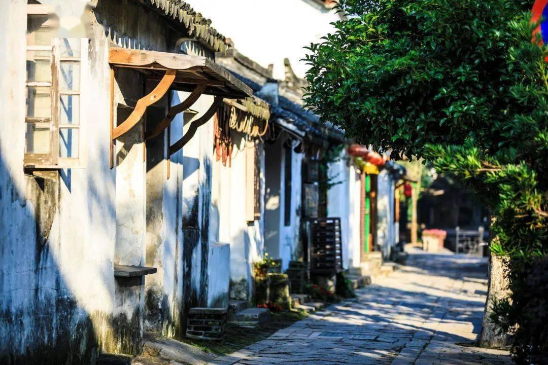 颜值+智慧+预知未来，《蜘蛛夫人：超感觉醒》的buff可是叠满了